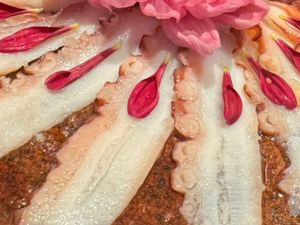 Carpaccio de Polvo (16un)