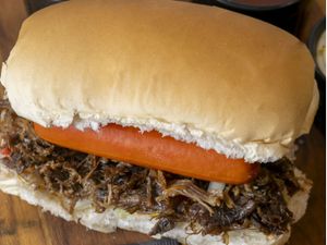 DOG COSTELA DESFIADA