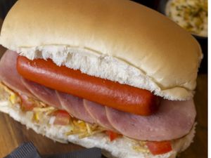 DOG LOMBO