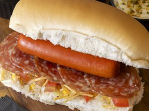 DOG SALAME