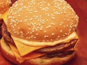 01 Duplo Cheddar Melt