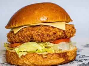 14 X-chicken burguer
