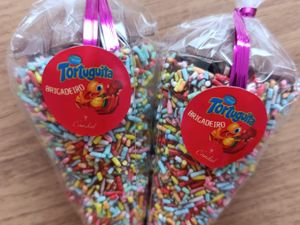 Cone Festa (Tortuguita®)