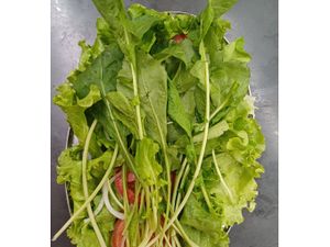 Salada grande