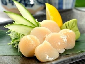 SASHIMI VIEIRA