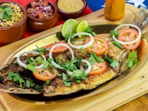 BANDA TAMBAQUI 6 PESSOAS 2.800kg  A 3.000kg