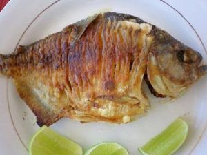CURUMIN FRITO (FILHOTE DE TAMBAQUI)