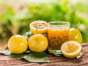 SUCO DE MARACUJA DA FRUTA