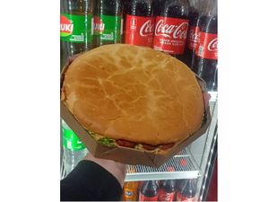 CALOTA STROGONOFF CARNE