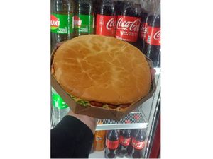 CALOTA STROGONOFF FRANGO