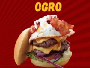 OGRO