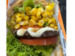 X -Salada Simples