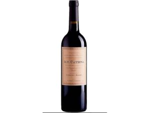 DV CATENA caberne malbec