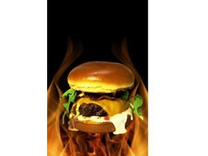 Bagual - O Valente do Pampa